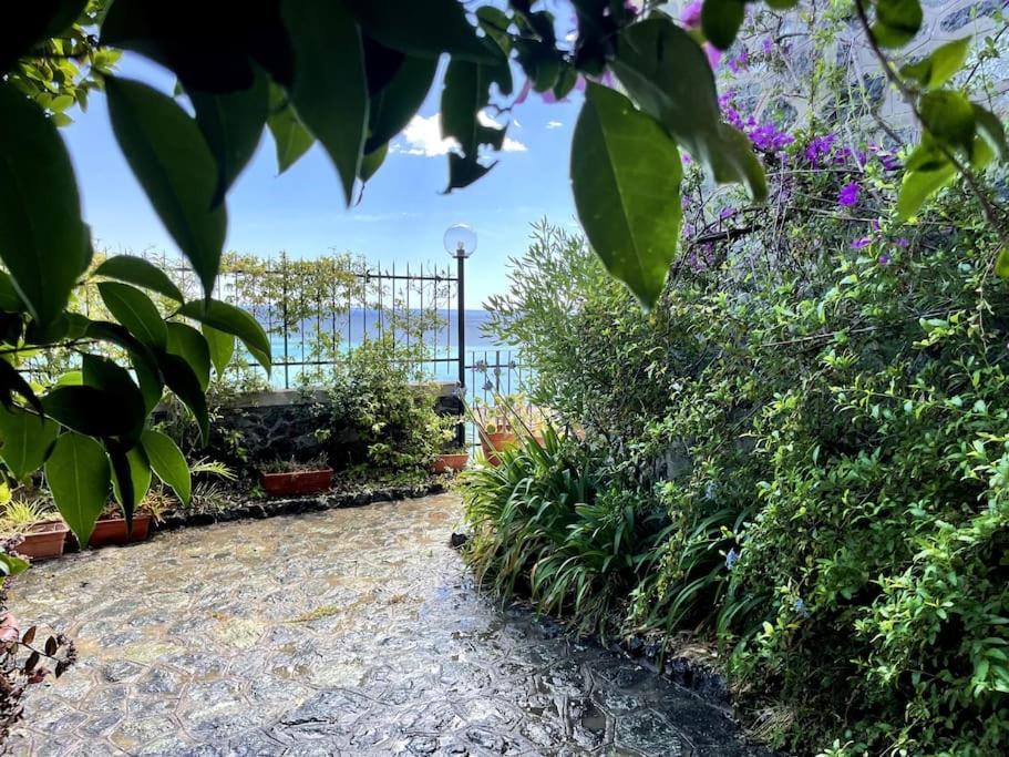 Ocean View Villa With Fast Wi-Fi And Elevator To Town Levanto Exteriér fotografie